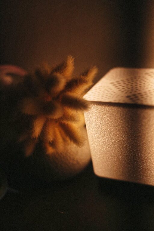 How to Create a Relaxing Playlist for Evenings